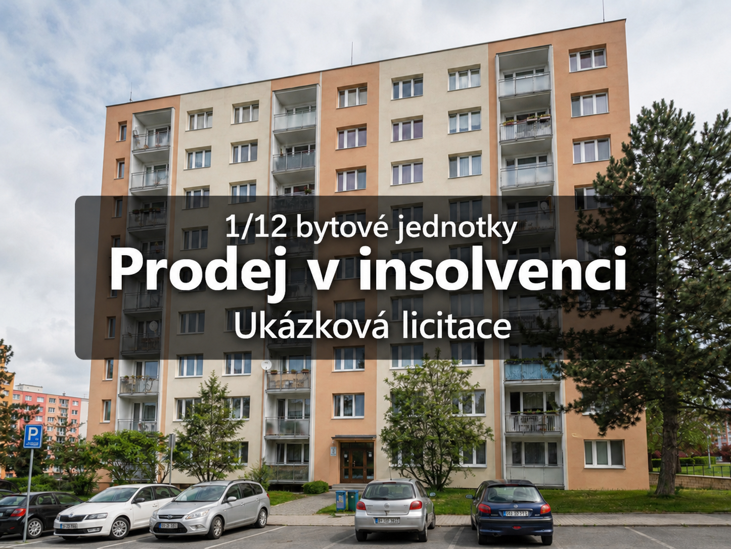 Insolvenční prodej – podíl 1/12 na bytové jednotce v Jindřichově Hradci (ukázková licitace)
